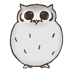 Owl POPOTA
