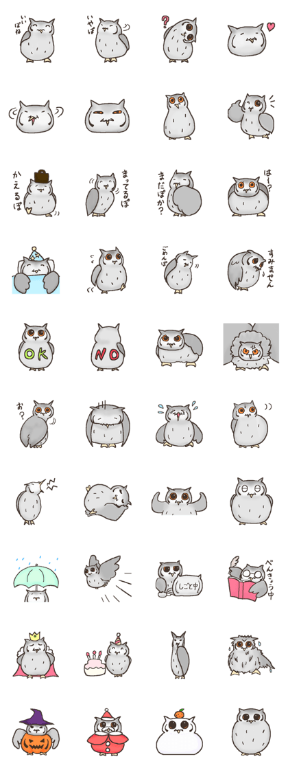 Owl POPOTA