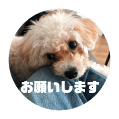 KANAE_20200229095630