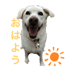 soraso_20200229102319