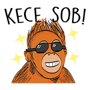 Baby Orangutan (Indonesian)