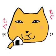 Happy Tibetan sand fox
