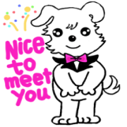 Smoll dog Pino
