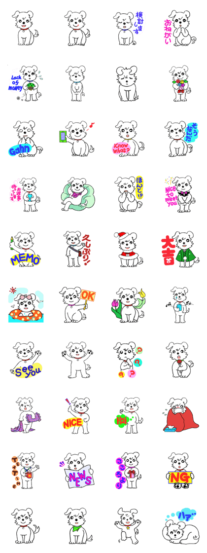 Smoll dog Pino