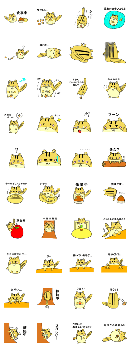 Masi squirrel
