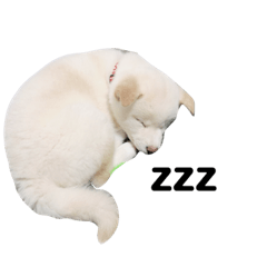 nozomi_20200229120015