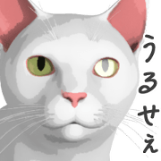 Can't hate this cat.