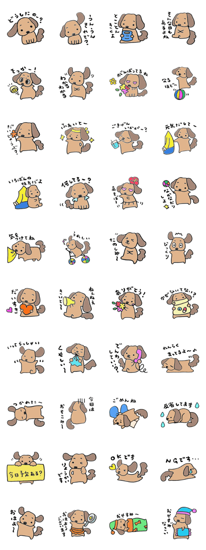 Marron of Dachshund