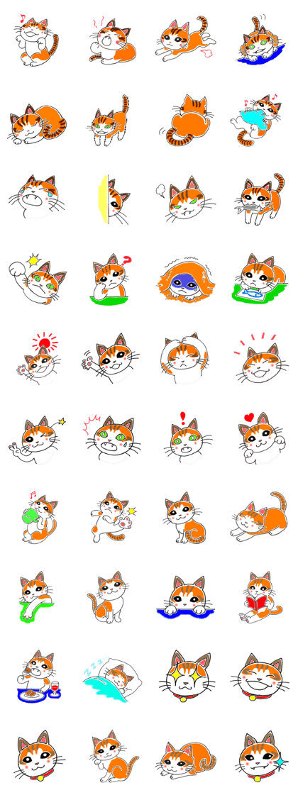 My name is chiko