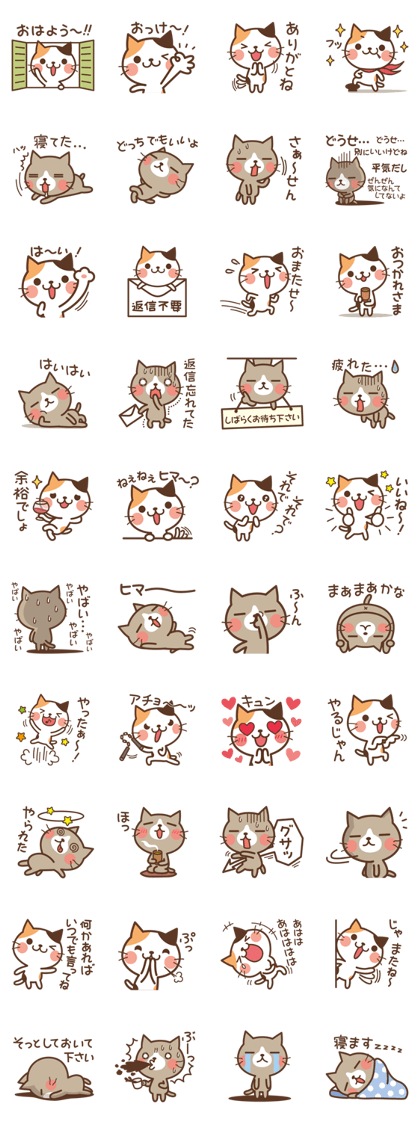 Cool cat & Loose cat