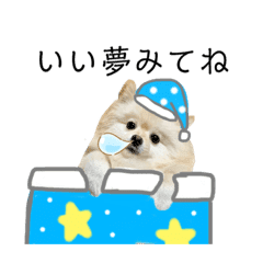 ポメラニアンのあめちゃん Lineクリエイターズスタンプ Stamplist ポメラニアンのあめちゃん Lineクリエイターズスタンプ Stamplist