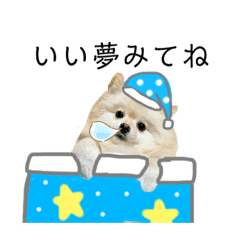 ポメラニアンのあめちゃん Lineクリエイターズスタンプ Stamplist