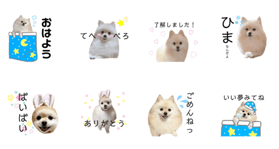 ポメラニアンのあめちゃん Lineクリエイターズスタンプ Stamplist ポメラニアンのあめちゃん Lineクリエイターズスタンプ Stamplist