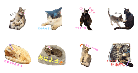 保護猫にゃんこ Lineクリエイターズスタンプ Stamplist 保護猫にゃんこ Lineクリエイターズスタンプ Stamplist