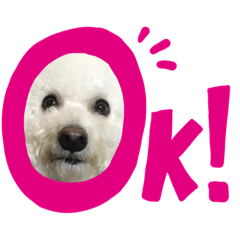 saori_20200229134149