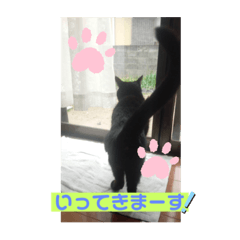 kurumi_20200229140241