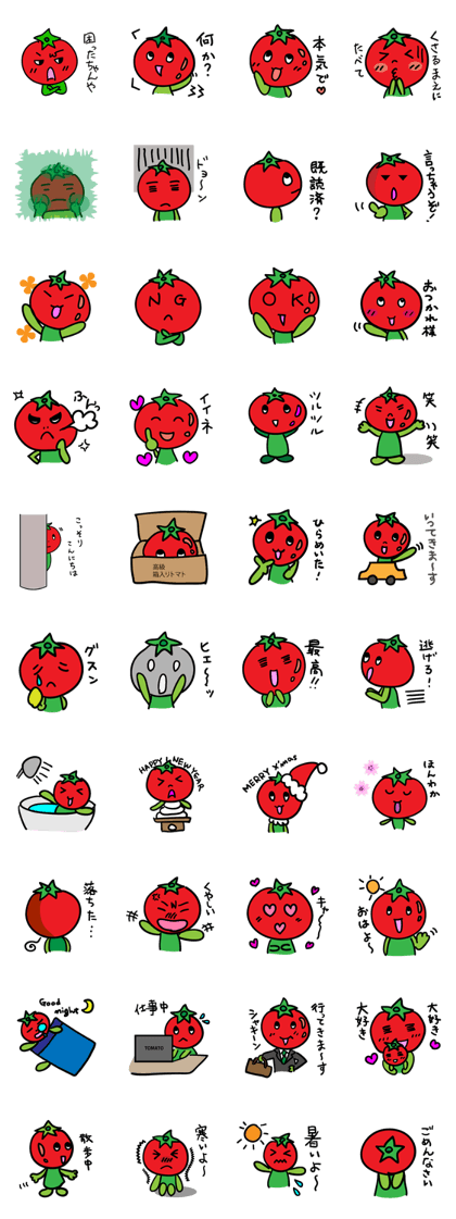 tomato-chanZ