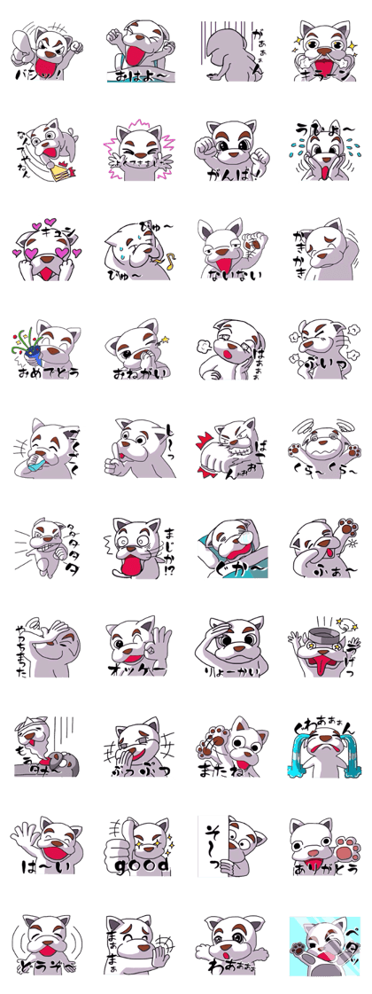 White dog "SIRO chan"