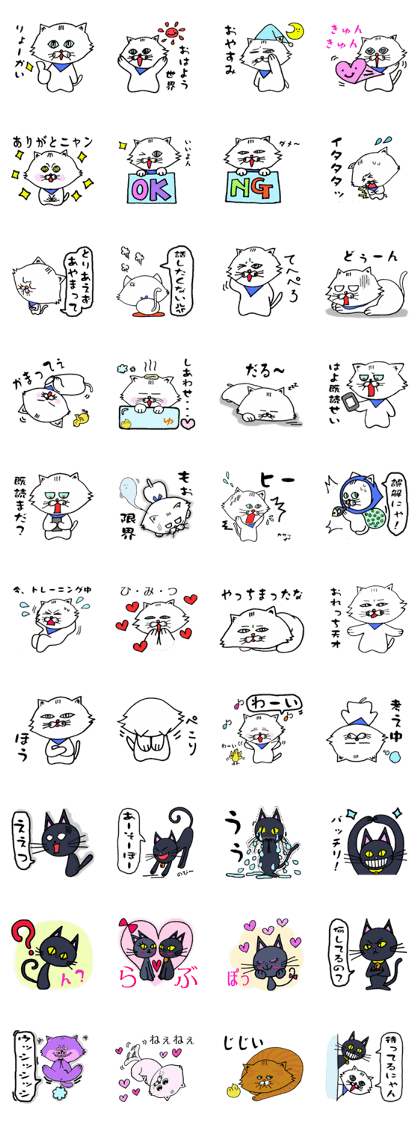White cat Jam and pleasant friends