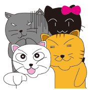 googoo cat