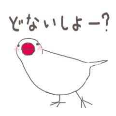 関西弁の白文鳥