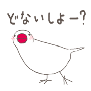 White Java sparrow (Kansai dialect)