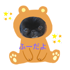 chie_20200229151451