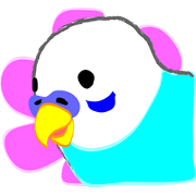 Clever parakeet