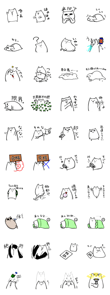 The white and soft cat everyday