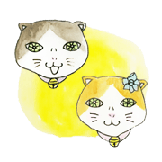torami & torasuke