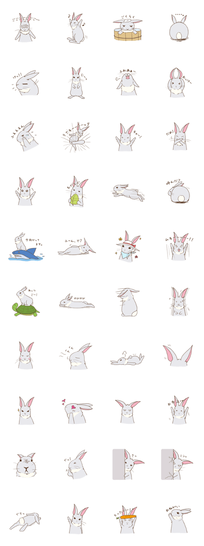 Tomboy Rabbit