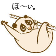 Oh! Loris!!