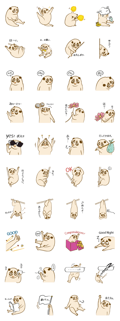 Oh! Loris!!