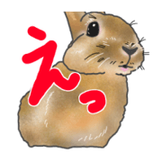 Rabbit MUGI