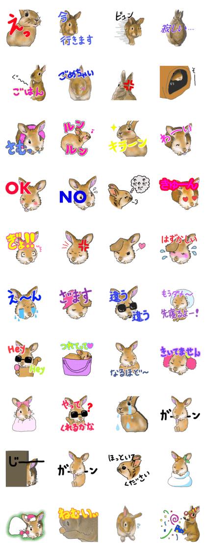 Rabbit MUGI