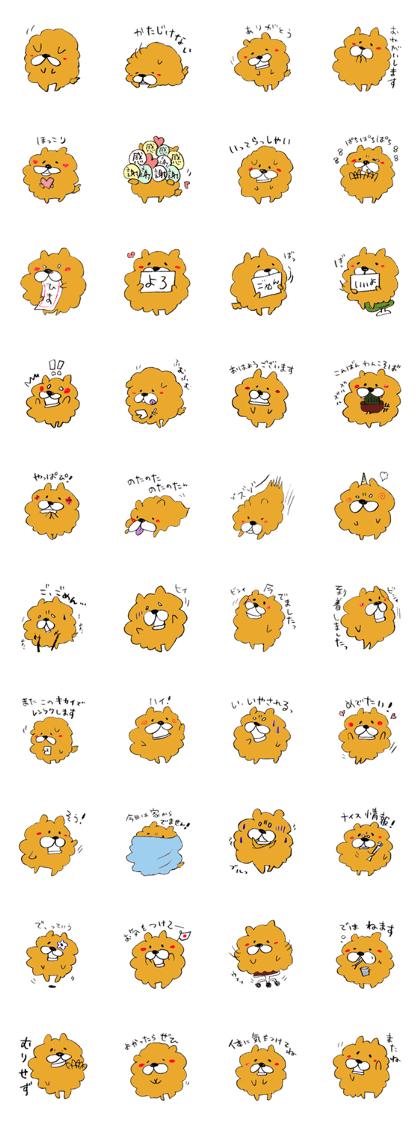 Chataro of chowchow dog