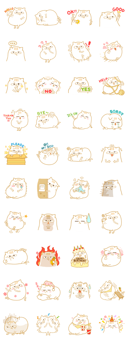 Fat cat PUJI