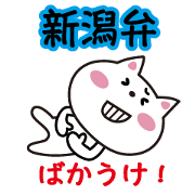 Cat Niigata valve