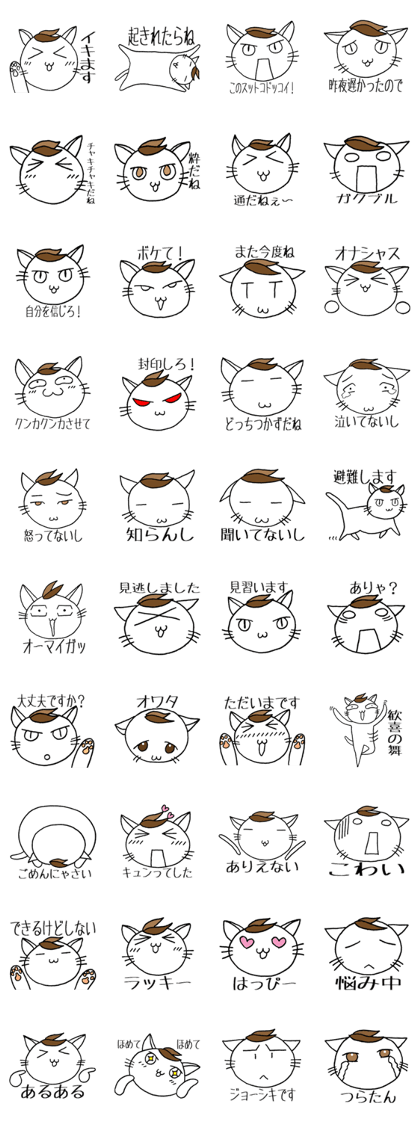 SHIRO CAT F