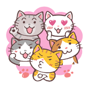 Five types of cats