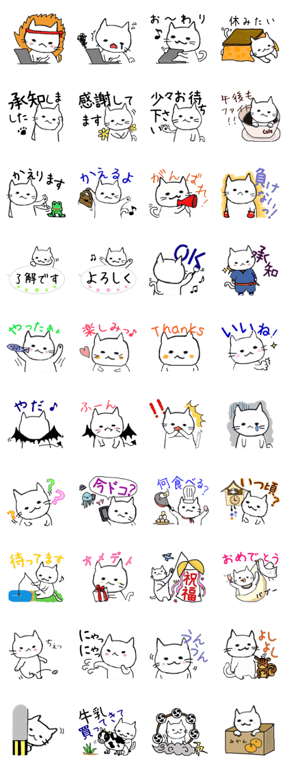 everyday life of a white cat,Shiratama2