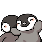 Emperor penguin ! 2nd