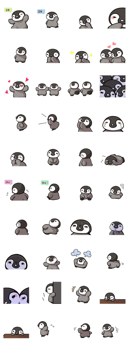 Emperor penguin ! 2nd