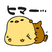 The chubby squirrel and bird Laid-back
