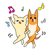 Chihuahua Lotta & Hana  Vol.2