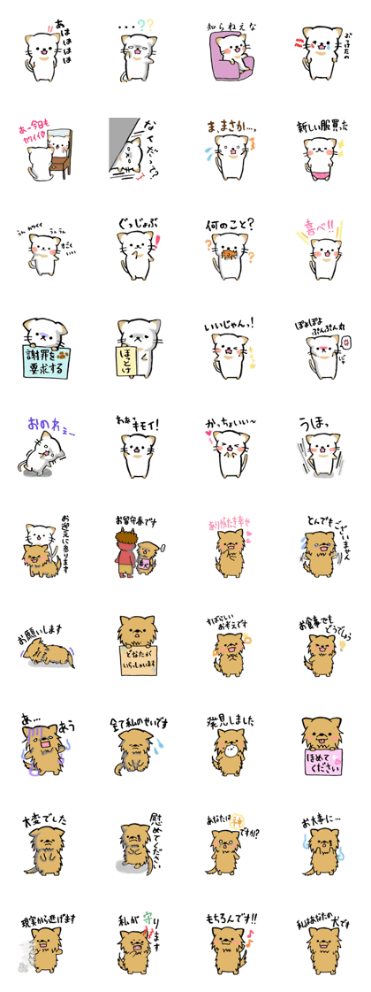 Nyanko from upper and lower Karawanko