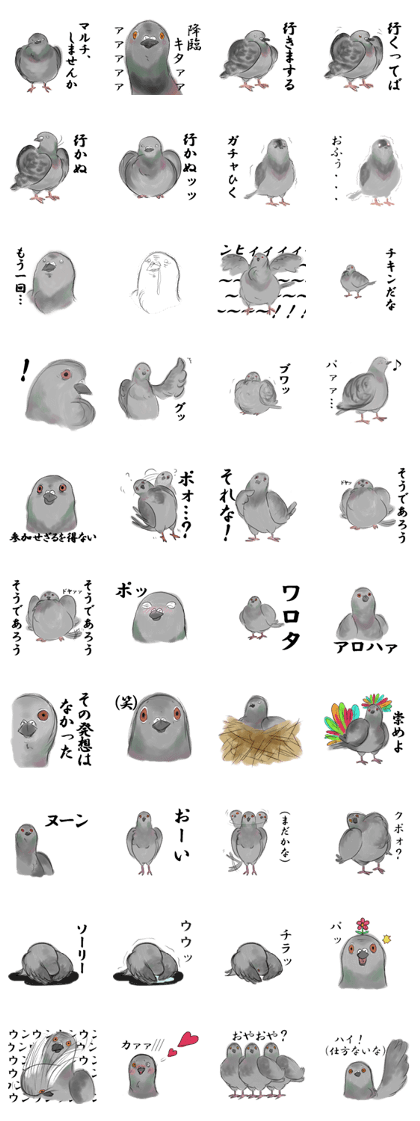 Real pigeon