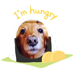 cocoa_20200229165820