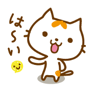 Cat "Motchi"