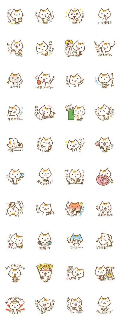 Cat "Motchi"